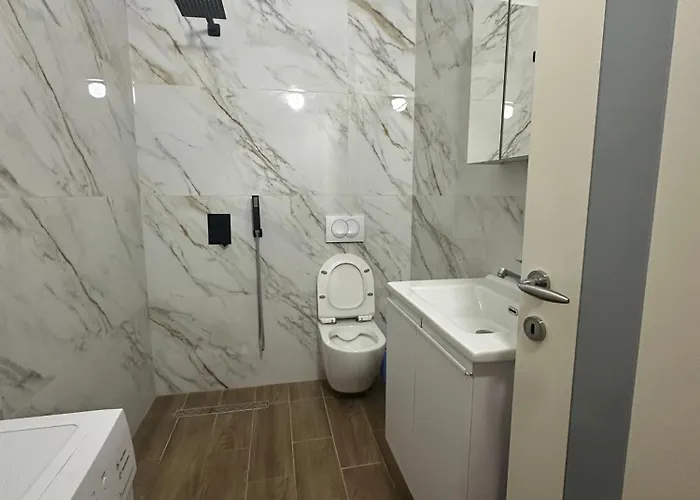 Dori 102 Polisi i Vogel